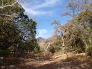 photo thumbnail #1