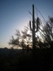 photo thumbnail #8