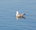 photo thumbnail #10