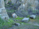 photo thumbnail #4