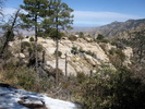 photo thumbnail #14