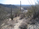 photo thumbnail #1