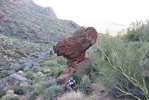 photo thumbnail #1