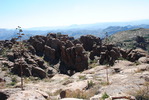 photo thumbnail #10