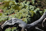 photo thumbnail #13