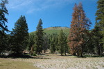 photo thumbnail #12