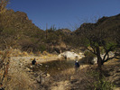 photo thumbnail #3