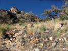 photo thumbnail #4