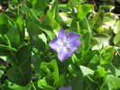 photo thumbnail #1