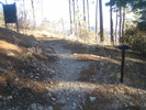 photo thumbnail #1