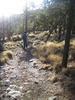 photo thumbnail #8