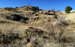 photo thumbnail #3