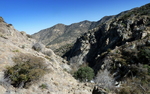 photo thumbnail #8