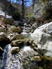 photo thumbnail #9