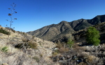 photo thumbnail #10