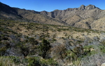 photo thumbnail #11