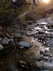 photo thumbnail #15