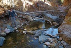 photo thumbnail #3