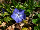 photo thumbnail #14