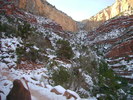 photo thumbnail #6