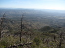 photo thumbnail #4