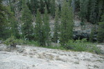 photo thumbnail #12