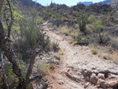 photo thumbnail #1