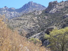 photo thumbnail #3