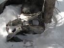photo thumbnail #10