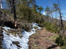 photo thumbnail #2