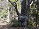 photo thumbnail #12