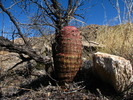 photo thumbnail #3