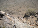 photo thumbnail #6