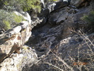 recent photo
