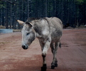 photo thumbnail #1