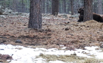 photo thumbnail #7