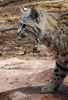 photo thumbnail #14