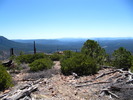 photo thumbnail #9
