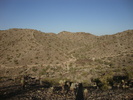 photo thumbnail #13