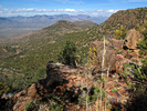 photo thumbnail #4