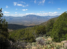 photo thumbnail #6