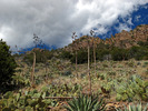 photo thumbnail #8