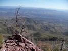 photo thumbnail #1
