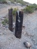 photo thumbnail #5