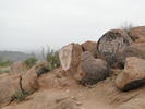 photo thumbnail #3