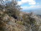 photo thumbnail #13