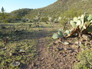photo thumbnail #3