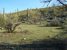 photo thumbnail #6