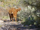 photo thumbnail #7