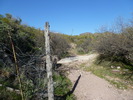 photo thumbnail #8